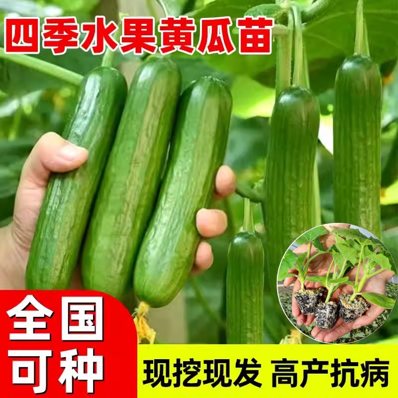 汇绿生态拟1127亿元收购钧恒科技49%股权！标的公司毛利率大降经营现金流持续为负